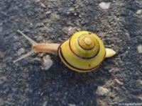 Spiral dynamics – Entwicklungstufen im&nbsp;Bewusstsein